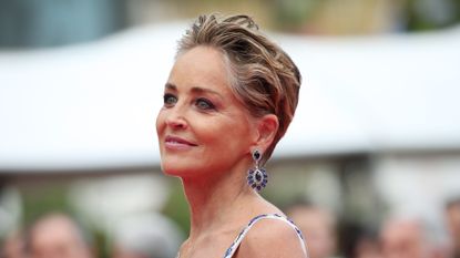 How Sharon Stone's 'miracle' children 'connected' her to others after nine miscarriages 