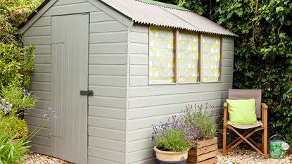 Grey shed on gravel area in garden surrounded by potted lavender plants and chair with green cushion