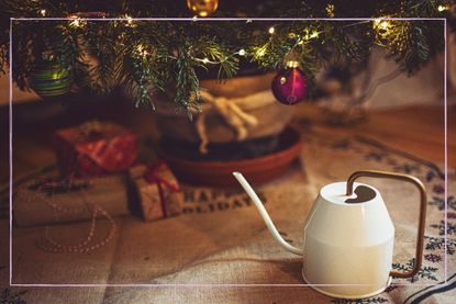 Christmas tree and watering can