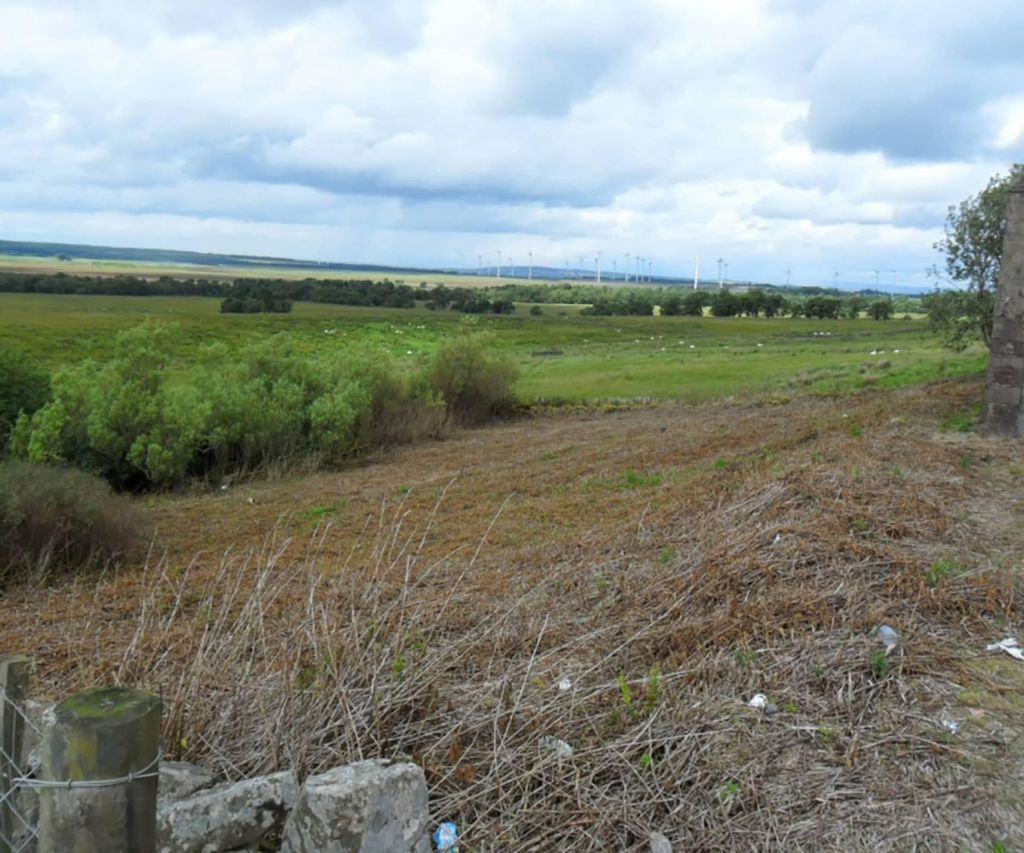 Do you need to pay stamp duty on a building plot? | Homebuilding
