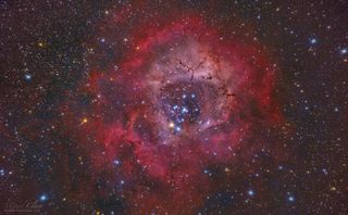 This stunning cosmic flower is known as the Rosette Nebula. Spanning 50 light-years across, it is the largest "rose" in the galaxy (albeit made primarily of dust, gas and baby stars). Approximately 2,500 newborn stars reside within this flowery nebula, and more continue to form out of its clouds of cosmic dust.