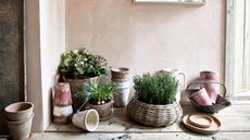 A collection of terracotta plant pots and a rattan planter with green plants, against a plaster wall and wooden floorboards.