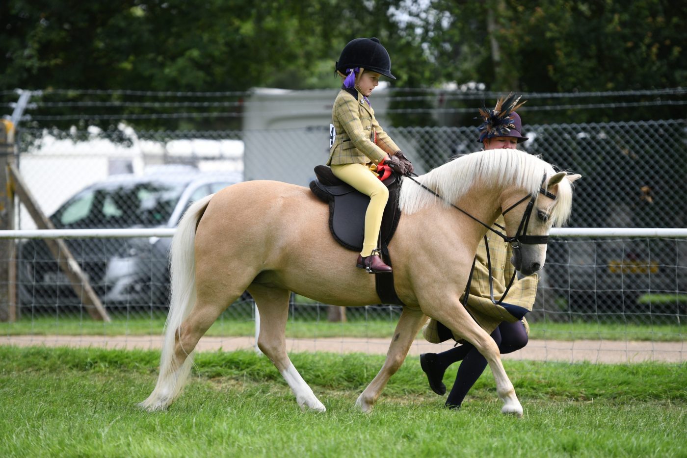 Westfirle-Golden-OrioleMandMfirst-ridden_321219481_563871191-scaled-e1593437669447.jpg