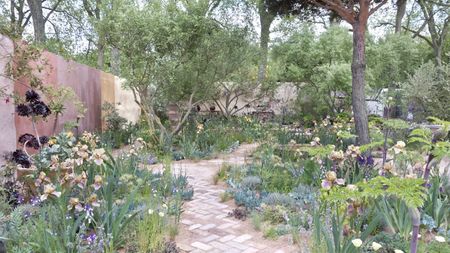 A Mediterranean garden with brick paving, trees, shrubs, and perennials, including irises, at the Chelsea Flower Show
