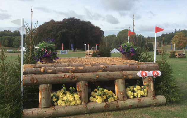 Blenheim Fences 2018