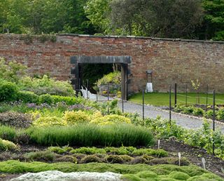 Kitchen garden