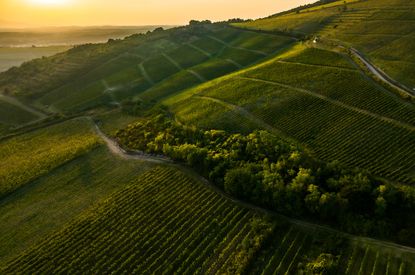 DJI_20230913180954_0101_D-Enhanced-NR.jpg