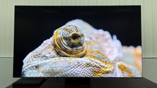 Samsung-QN900C TV showing lizard on screen