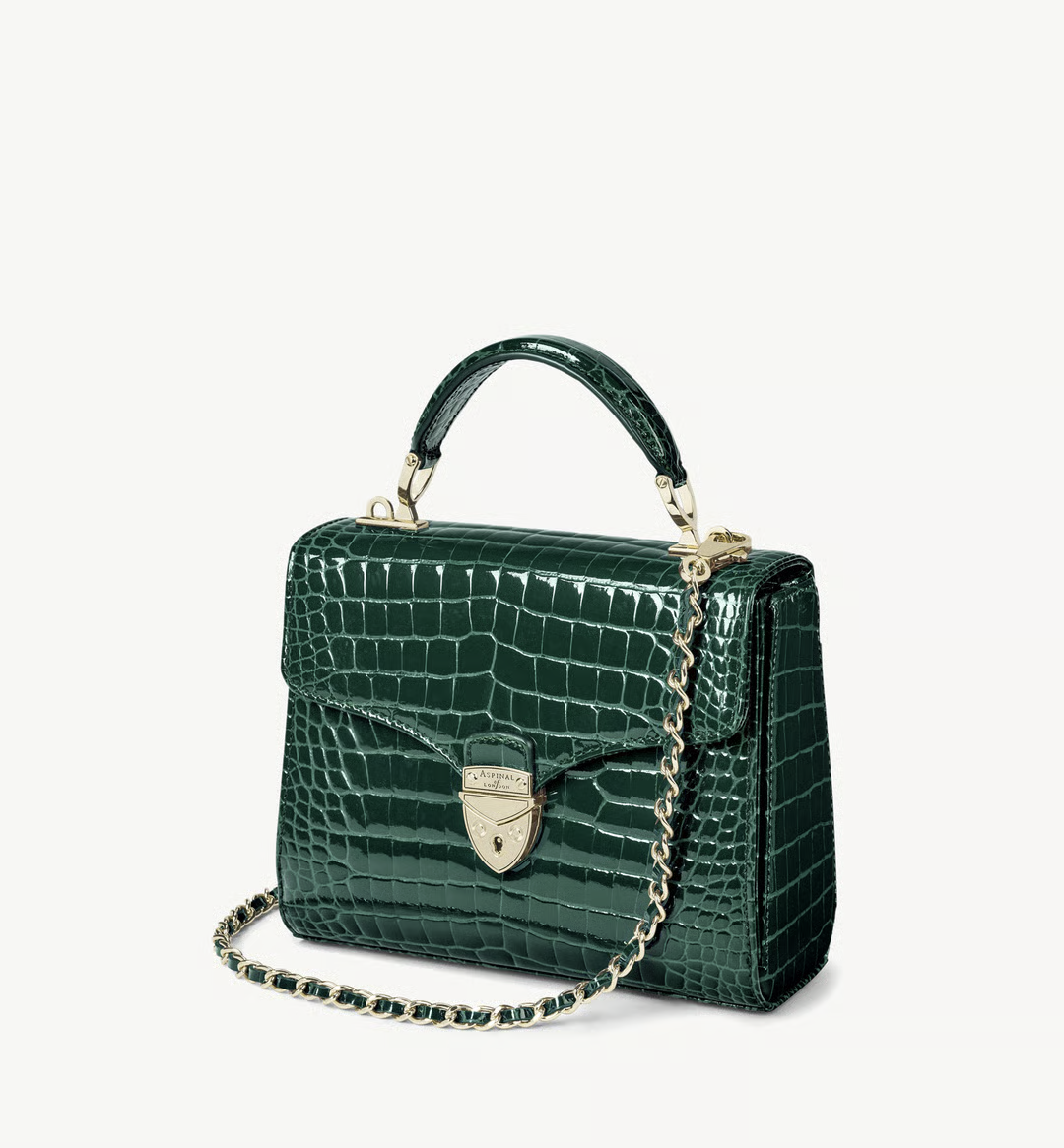 Aspinal of London, Evergreen Patent Croc