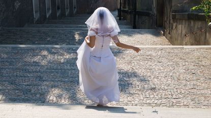 Dress, Textile, Wedding dress, Gown, Street fashion, Veil, Bridal veil, Bride, One-piece garment, Bridal clothing, 