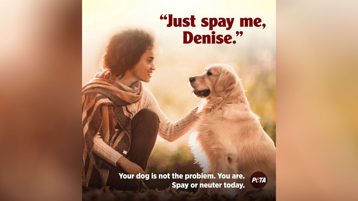 PETA ad