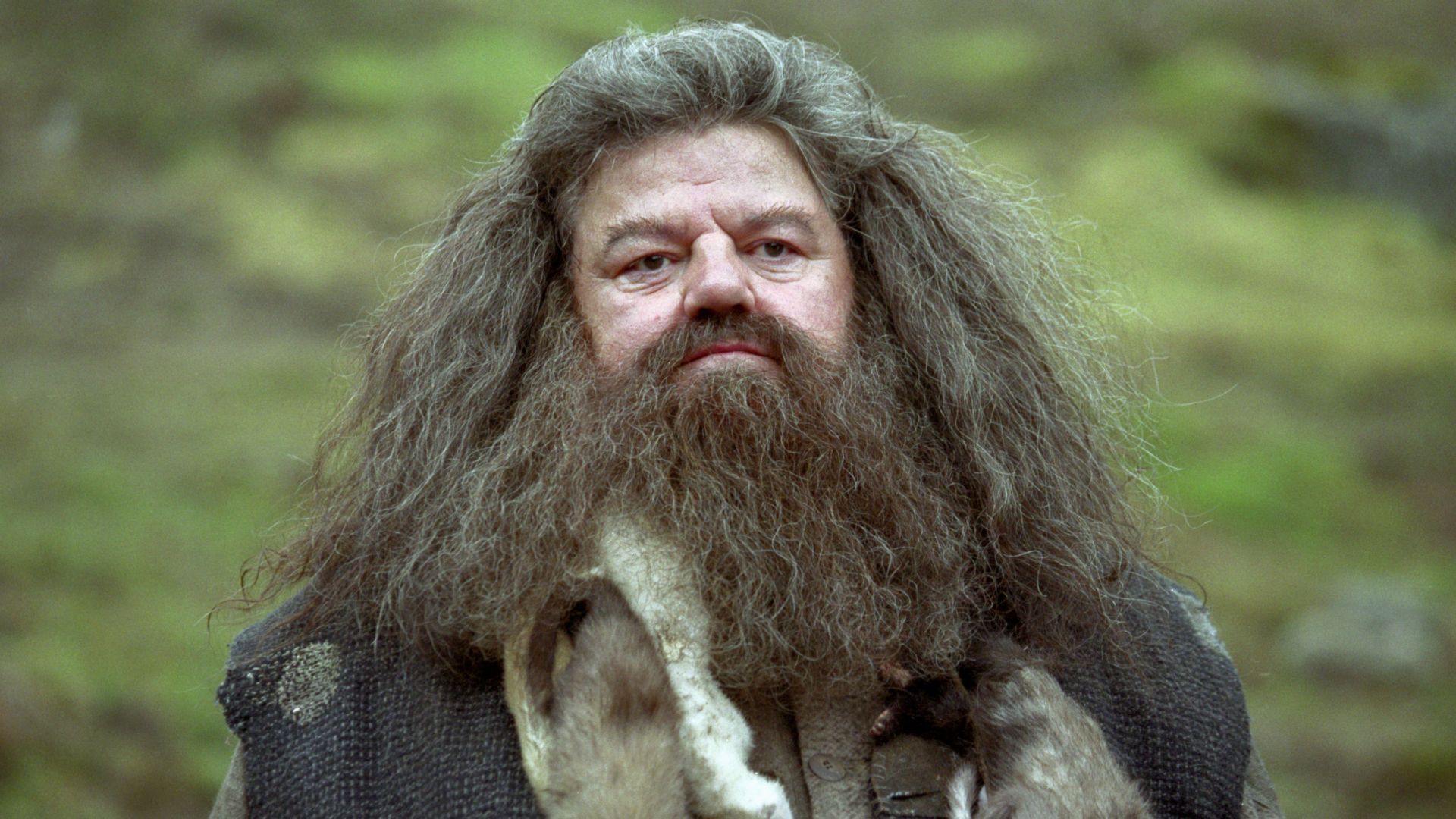 Robbie Coltrane as Hagrid