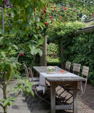 An outdoor dining area with a dark wooden dining table and six chairs, and bushes and shrubbery with red berries around it, and an open door within these
