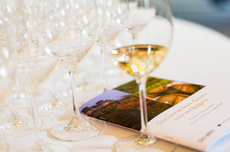 Greece Italy Bulgaria tasting