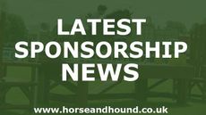 sponsorship
