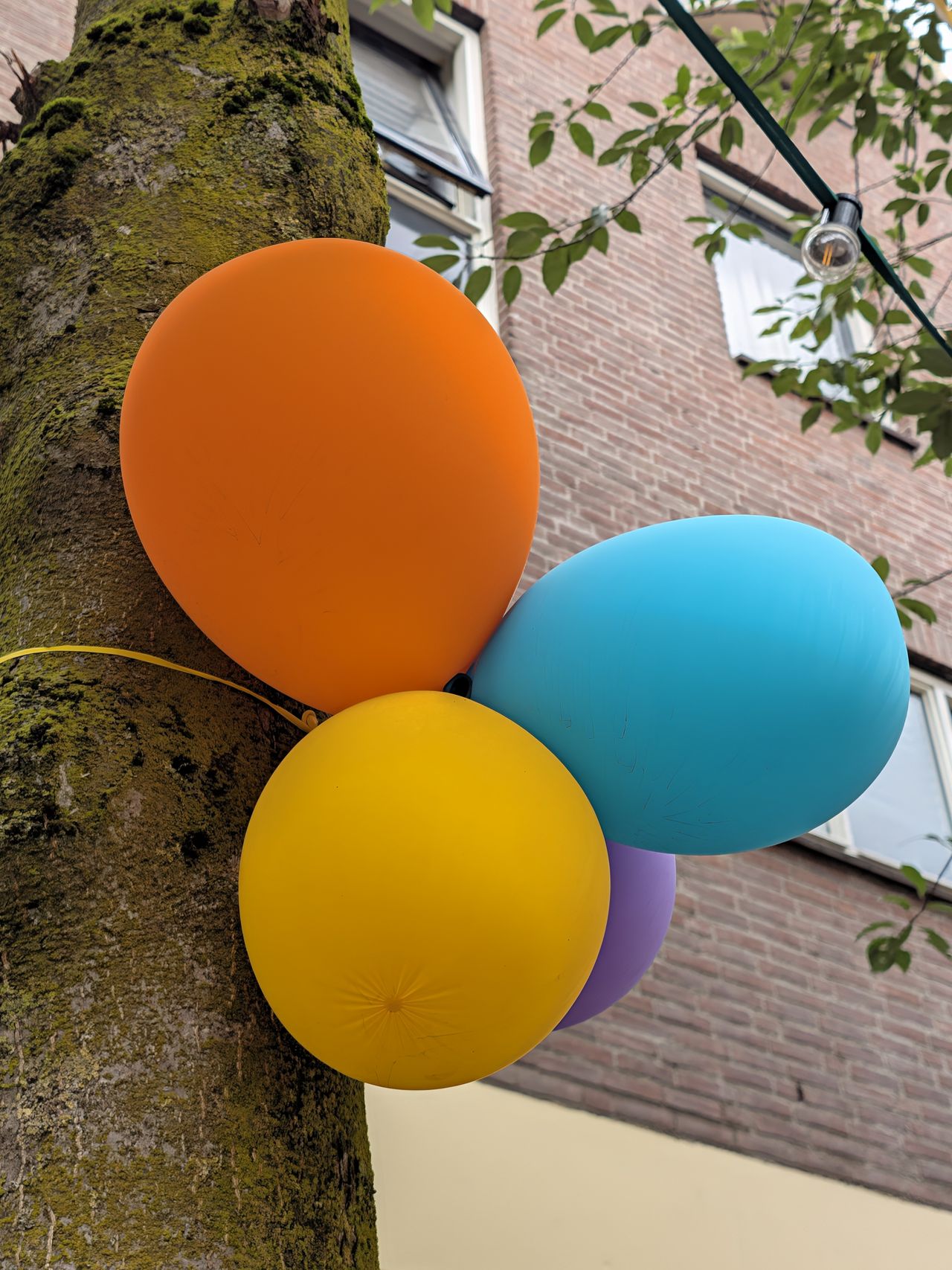 Google Pixel 11 voorbeeldfoto