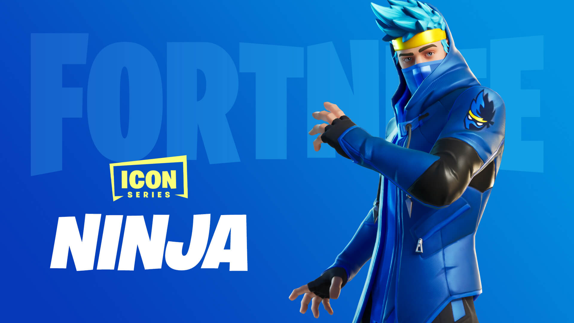 team ninja shop