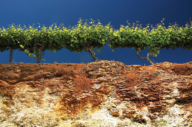 Katnook coonawarra terra rossa soil