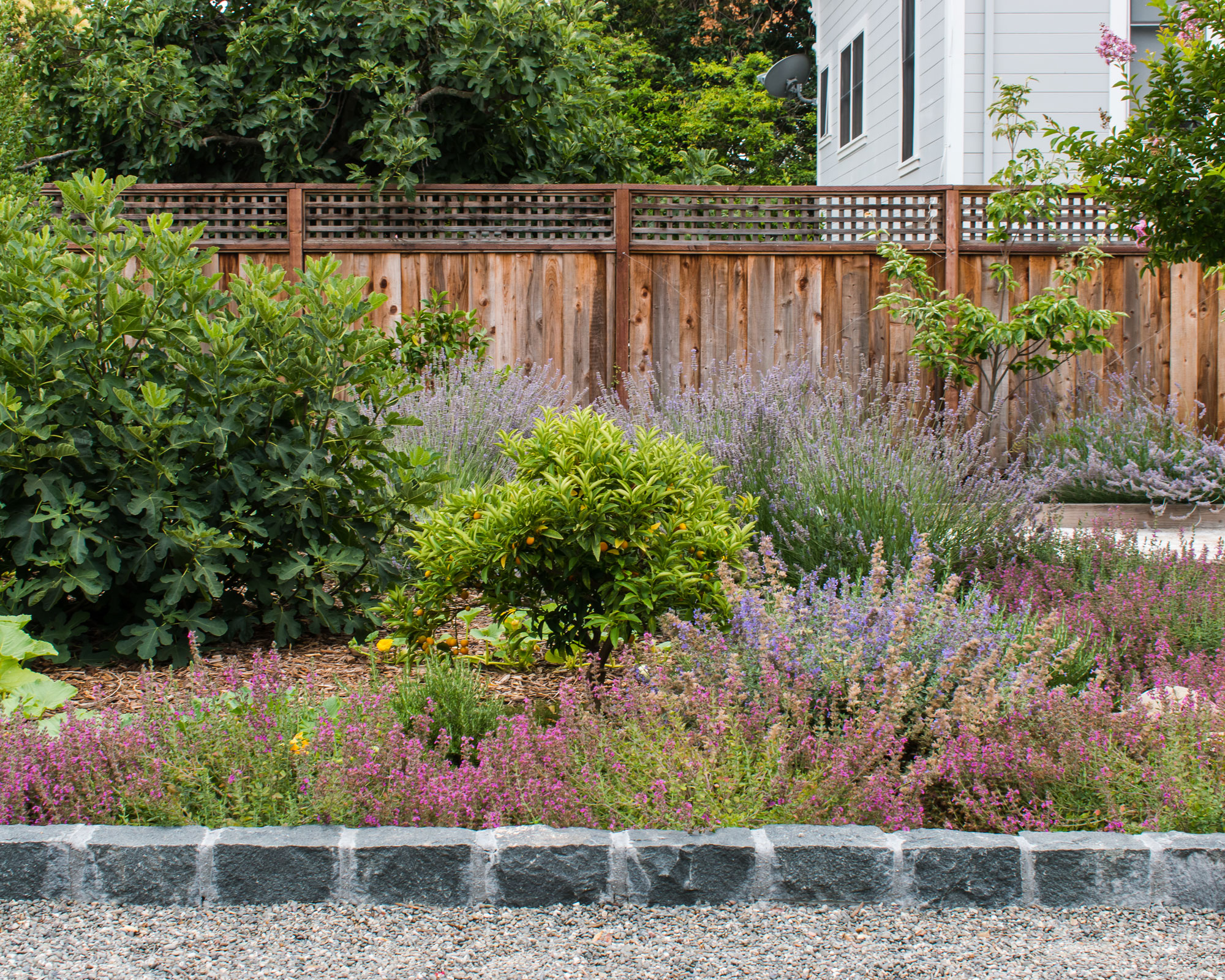 flowerbed edging made of cobbles, with heather and shrubs, and a gravel path