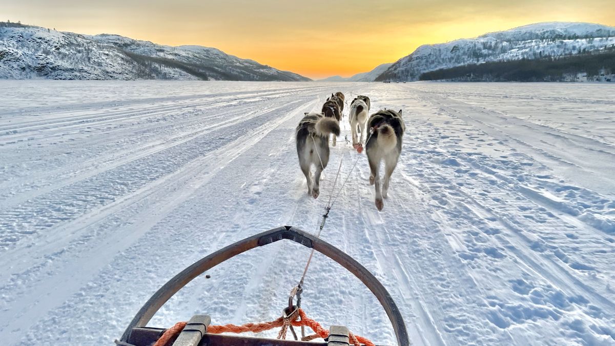 hurtigruten