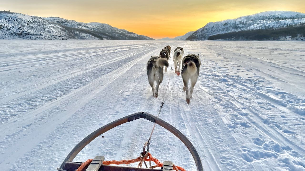 hurtigruten