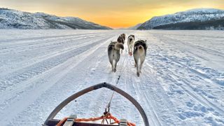 view from a sledge being pulled by dogs with mountains ahead and an orange sky.