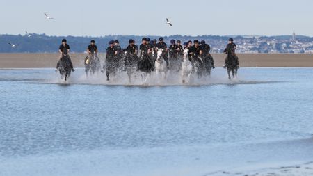 Pictured: Soldiers and horses from the Household Cavalry Mounted Regiment at Hayling Island beach on Friday 3 July 2026. The Household Cavalry Mounted Regiment swap the streets of London for the shores of Hampshire. As part of their three-week Summer Camp, The Life Guards and Blues and Royals deployed their Military Working Horses to Hayling Island Beach for a day of equine training with a difference. After welcoming four world leaders to Windsor, protecting The King at the State Opening of Parliament, and a spectacular King's Birthday Parade, a day in the sea felt very well-deserved. These horses face the noise and chaos of London every single day &mdash; sirens, crowds, and all the unexpected delights of city life, so building their confidence through exposure to new environments is essential. The beach &mdash; with its shifting sands, crashing waves, screeching gulls, and overexcited children &mdash; is the perfect testing ground. For the youngest horses, it was their very first encounter with the sea. Watching