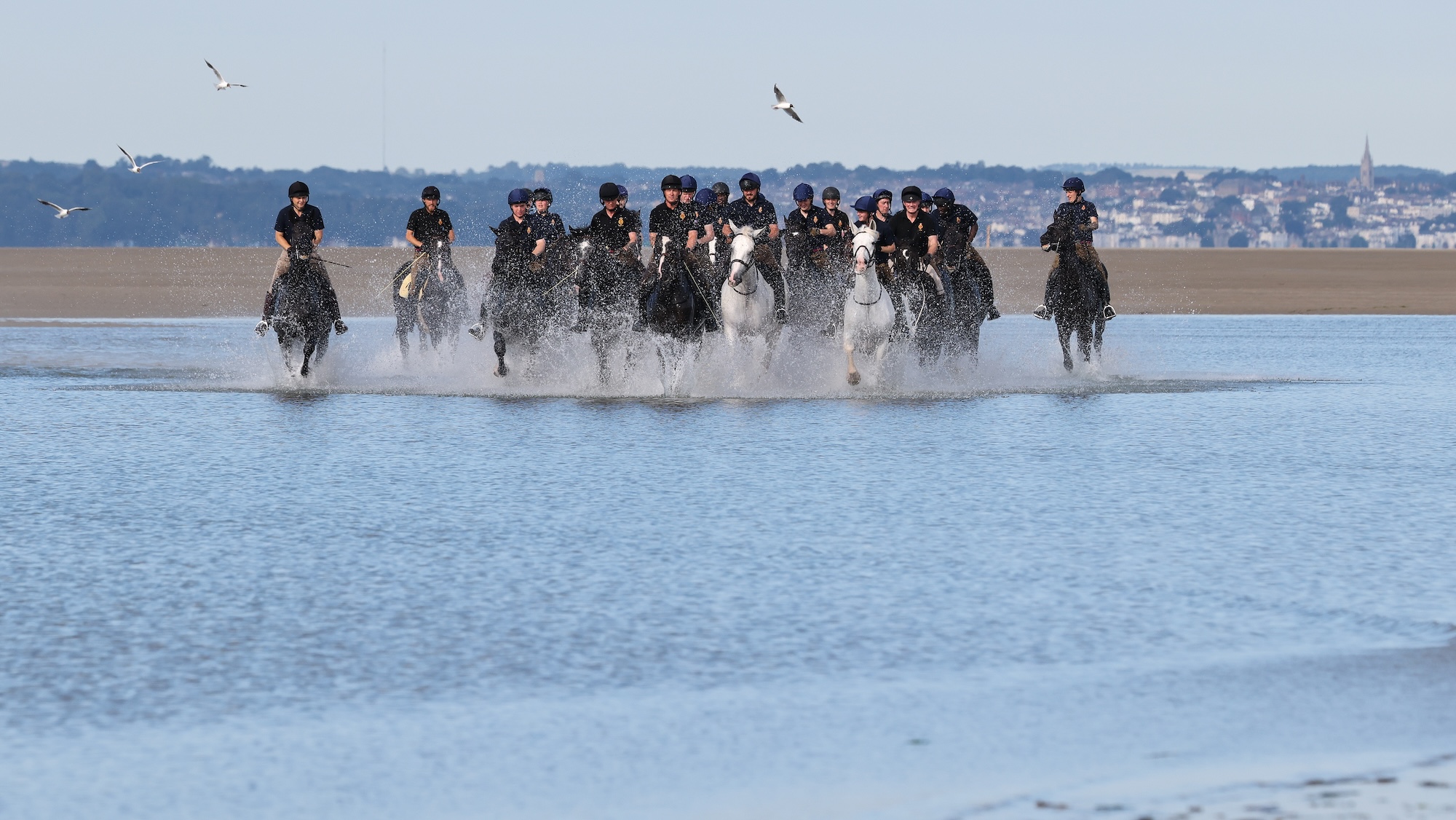 Pictured: Soldiers and horses from the Household Cavalry Mounted Regiment at Hayling Island beach on Friday 3 July 2026. The Household Cavalry Mounted Regiment swap the streets of London for the shores of Hampshire. As part of their three-week Summer Camp, The Life Guards and Blues and Royals deployed their Military Working Horses to Hayling Island Beach for a day of equine training with a difference. After welcoming four world leaders to Windsor, protecting The King at the State Opening of Parliament, and a spectacular King's Birthday Parade, a day in the sea felt very well-deserved. These horses face the noise and chaos of London every single day &mdash; sirens, crowds, and all the unexpected delights of city life, so building their confidence through exposure to new environments is essential. The beach &mdash; with its shifting sands, crashing waves, screeching gulls, and overexcited children &mdash; is the perfect testing ground. For the youngest horses, it was their very first encounter with the sea. Watching