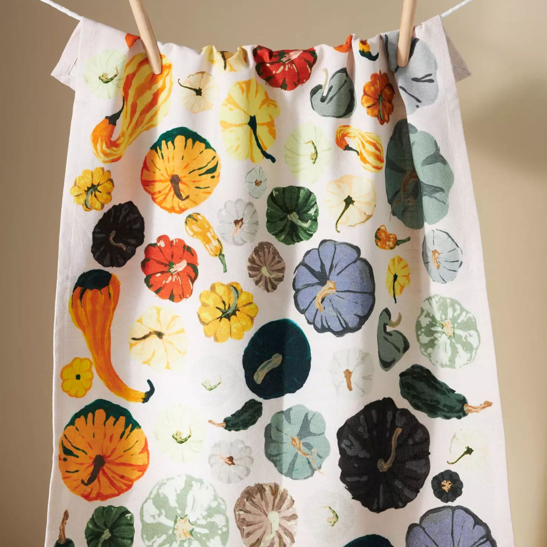 Mulitcolored pumpkin dish towel