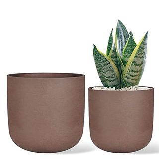 Thirtypot 4.6 + 6 Inch Terracotta Succulent Planter Pots Brown Round Flower Pots With Drainage for Indoor Plants Set of 2