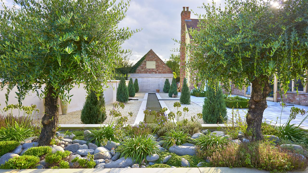 modern garden with olive trees, pebbles, gravel and rill