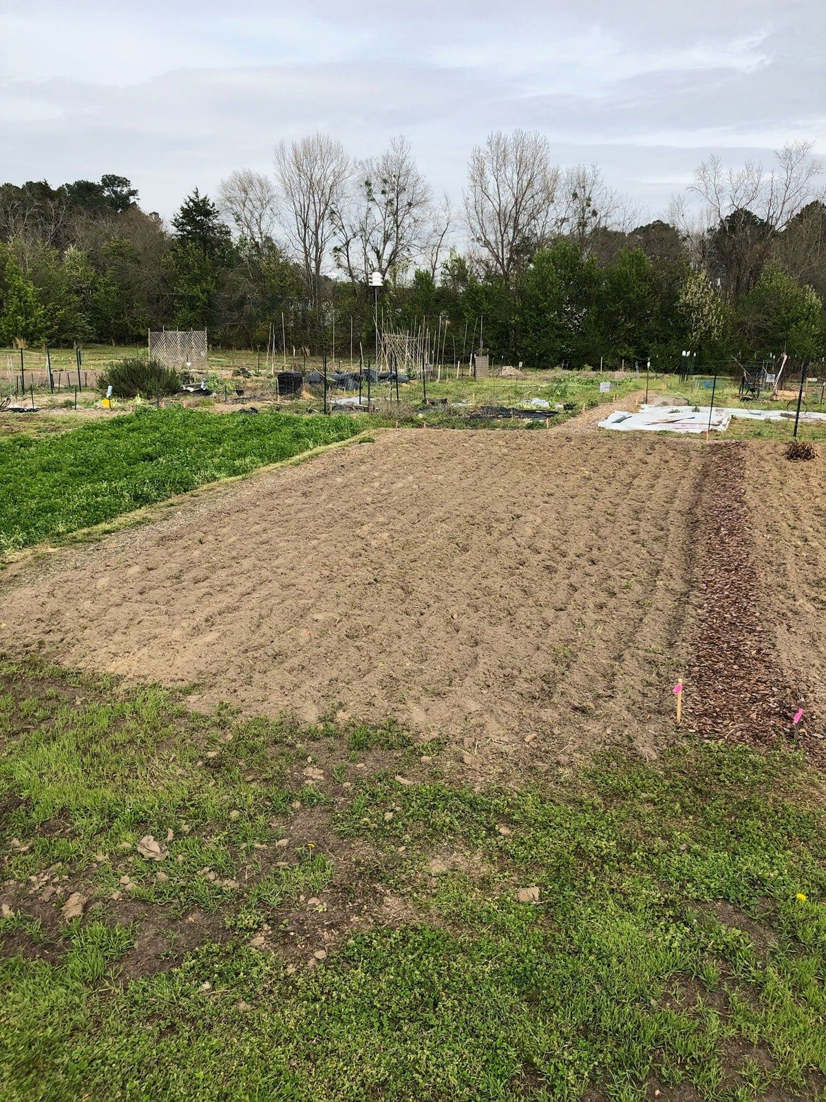 A tilled plot ready for planting.