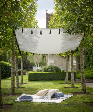 pergola with canopy on lawn with picnic blanket
