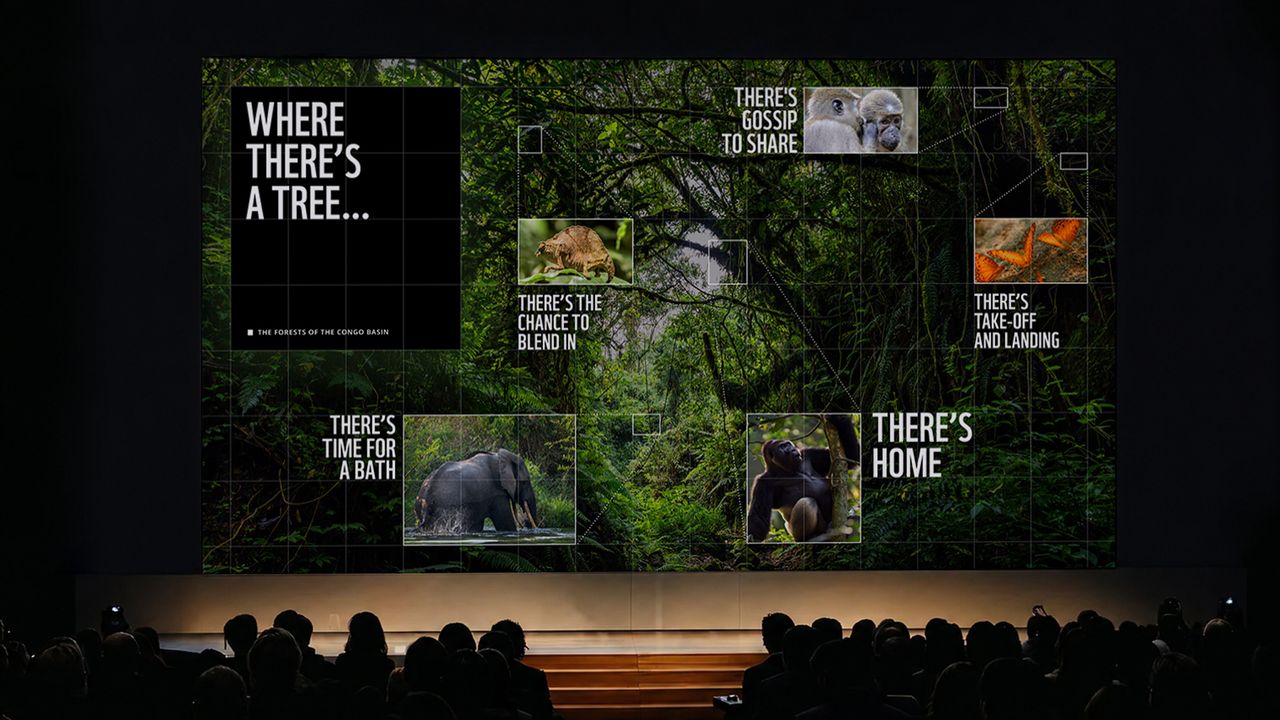 WWF images