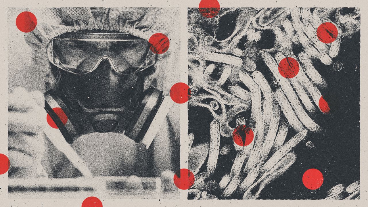 How worrying is the Ebola outbreak?