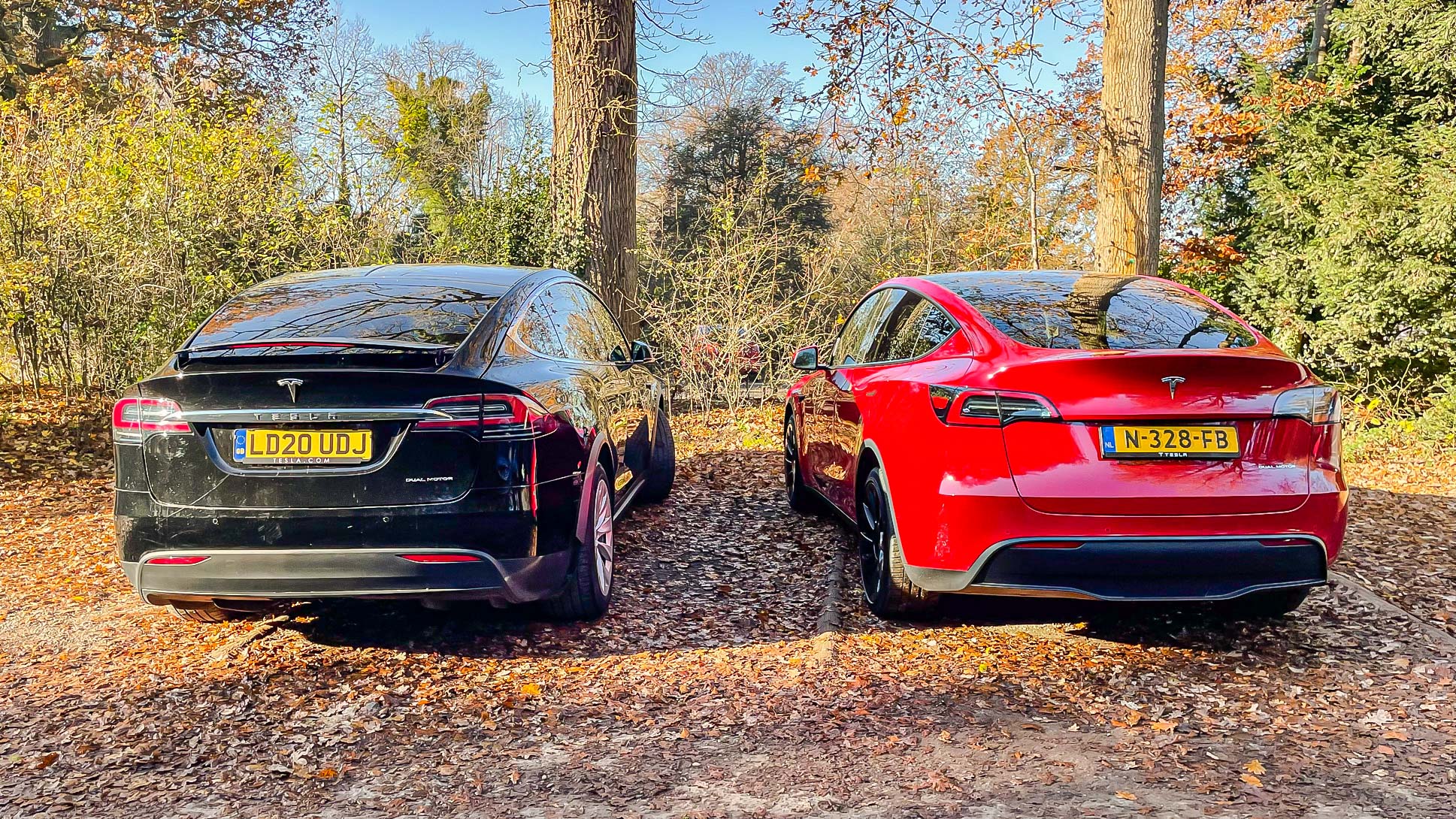 Tesla Model Y parked outside