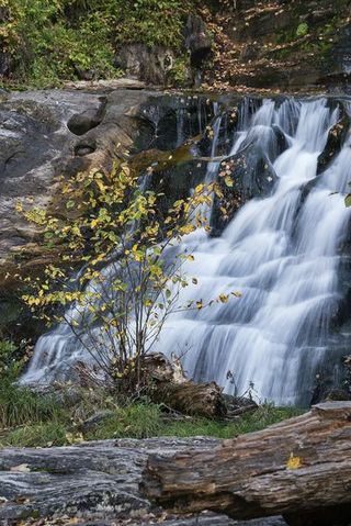 Waterfall, Body of water, Water resources, Water, Natural landscape, Watercourse, Nature, Stream, Vegetation, Nature reserve,