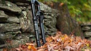 The RockSox Domain fork leaning on a wall