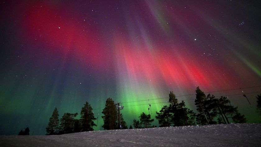 A photo of pink and green Northern lights with the silhouettes of trees visible on the horizon