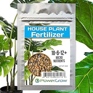 Amazon slow release houseplant fertilizer