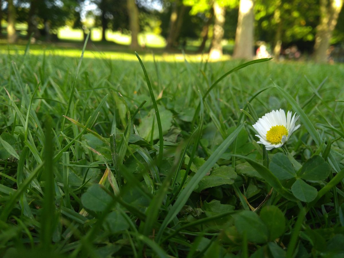 Check out the background bokeh and rich color on this shot.