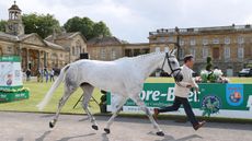 Bramham Horse Trials first trot-up: Austin O&rsquo;Connor and Ventura Rock