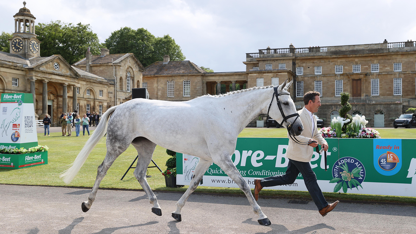 Bramham Horse Trials first trot-up: Austin O&rsquo;Connor and Ventura Rock