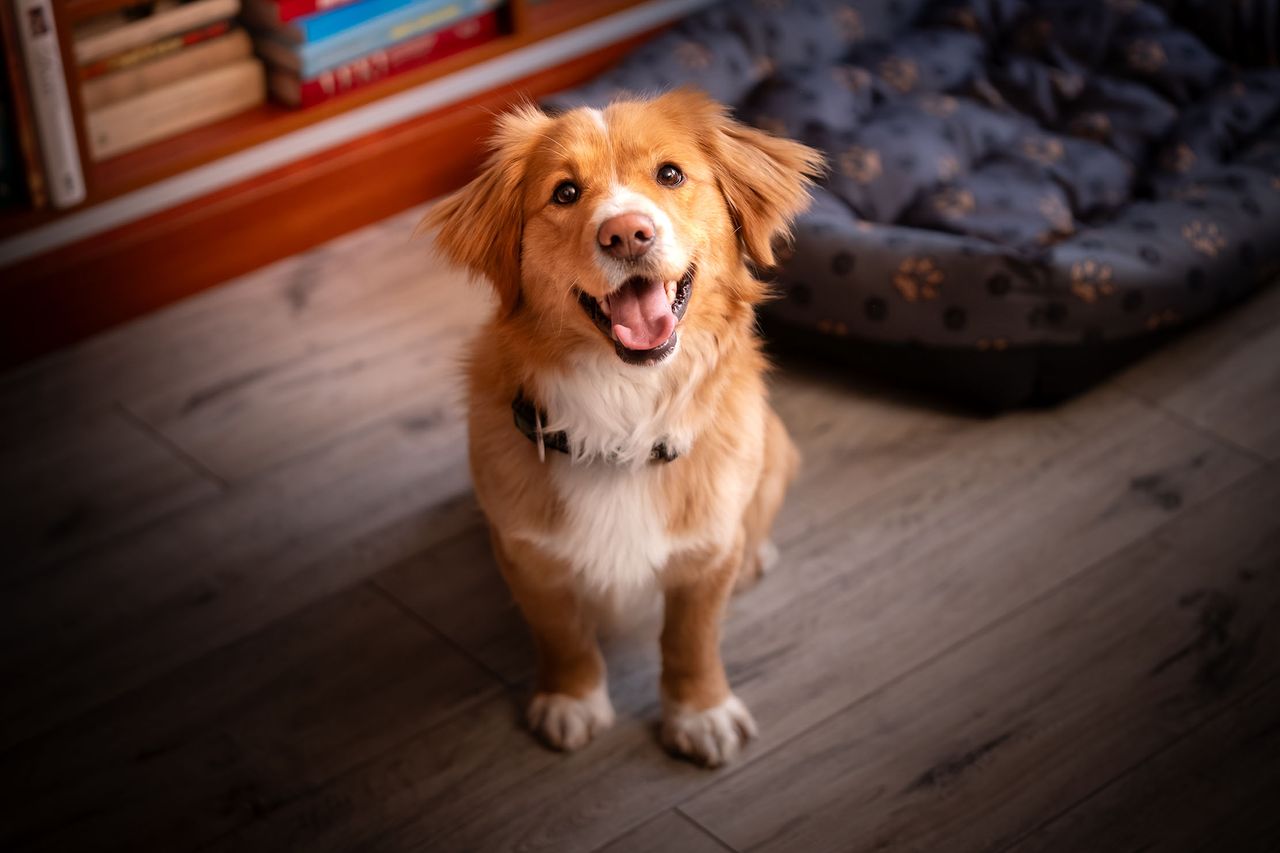 &#039;What do you mean, &quot;go back to bed&quot;? Don&#039;t you know it&#039;s already 4:45am!?!&quot;