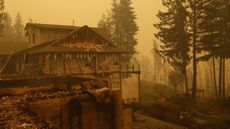 Property and homes razed by a wildfire in Celista, British Columbia, Canada, on Saturday, Aug. 19, 2023. Record-breaking wildfires in Canada, which have already scorched an area larger than Greece, are heading toward key population centers, forcing tens of thousands to evacuate.