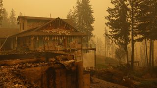 Property and homes razed by a wildfire in Celista, British Columbia, Canada, on Saturday, Aug. 19, 2023. Record-breaking wildfires in Canada, which have already scorched an area larger than Greece, are heading toward key population centers, forcing tens of thousands to evacuate.