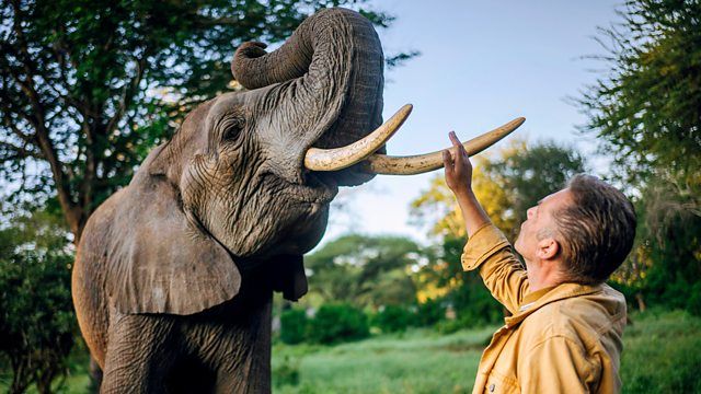 बीबीसी की 'इवोल्यूशन' सीरीज मुफ्त में कैसे देखें?