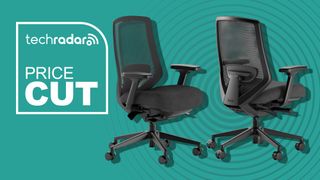 Branch Ergonomic Chair Pro