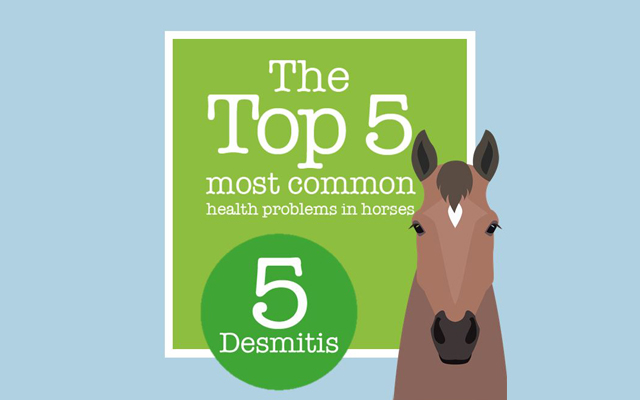 Desmitis-Feature-image