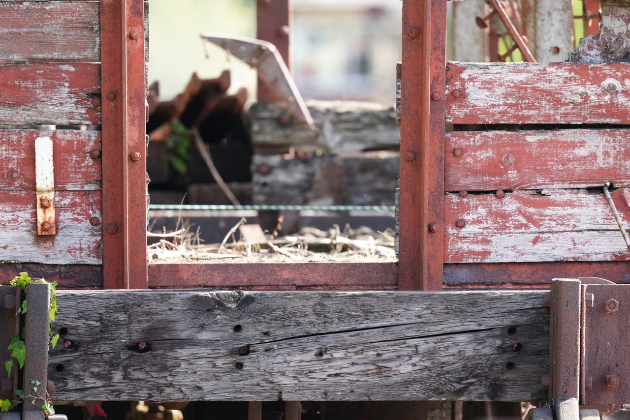 Sony FE 600mm f/6.3 GM OSS sample image